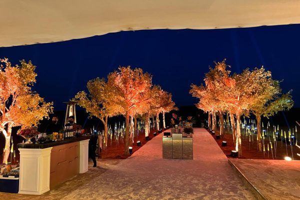 WhatsApp Image 2022-05-31 at 11.25.22 AM (1)